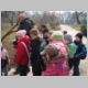 1bwiosna010.jpg